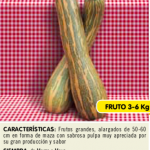 Calabaza t.vasca selección marina