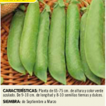 Guisante lincoln ganxo