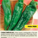 Pimiento dulce italiano