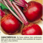 Remolacha mesa Detroit 2