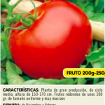 Tomate tres cantos