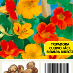 Capuchina trepadora variada