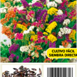 Statice sinuata variado