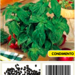 Albahaca gigante genovesa