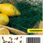 Eneldo anethum graveolens