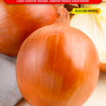 Cebolla babosa selección primosa