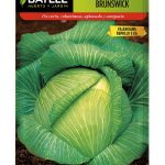 Col brunswick valenciana